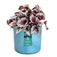 the ocean collection round 14cm atlantisch blauw